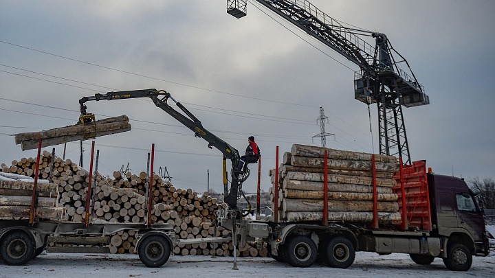 Южная Корея нарастила импорт российской древесины до максимума